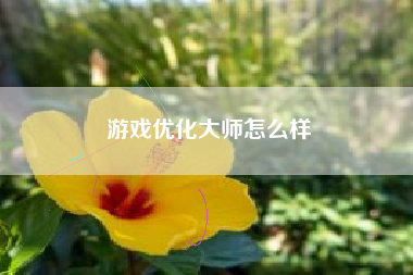 游戏优化大师怎么样