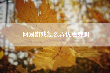 网易游戏怎么弄优惠券啊