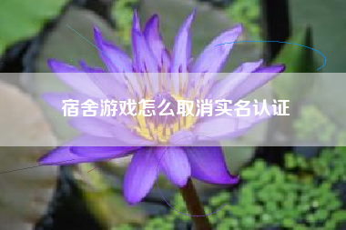 宿舍游戏怎么取消实名认证