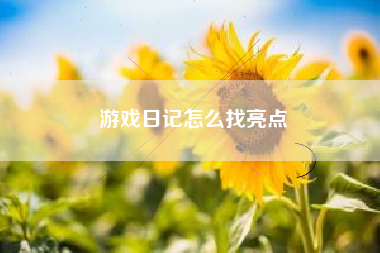 游戏日记怎么找亮点