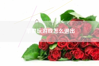 苹果玩游戏怎么退出