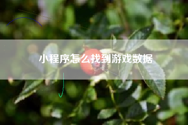 小程序怎么找到游戏数据