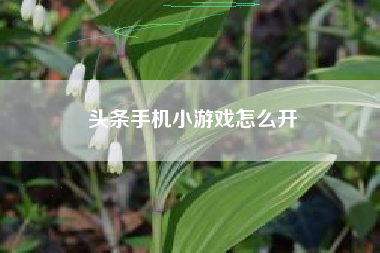 头条手机小游戏怎么开