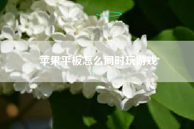 苹果平板怎么同时玩游戏