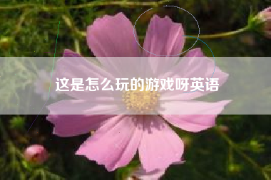 这是怎么玩的游戏呀英语