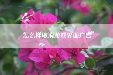 怎么样取消游戏界面广告