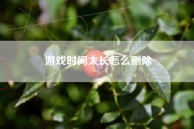 游戏时间太长怎么删除