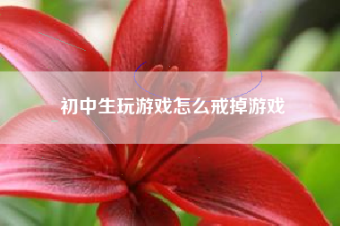 初中生玩游戏怎么戒掉游戏