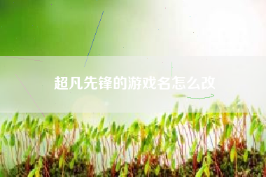 超凡先锋的游戏名怎么改