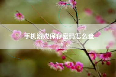 手机游戏保存密码怎么查