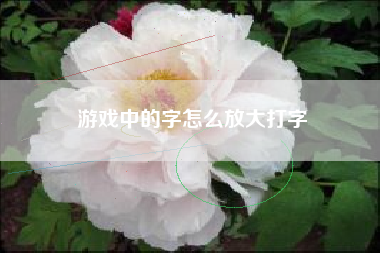 游戏中的字怎么放大打字