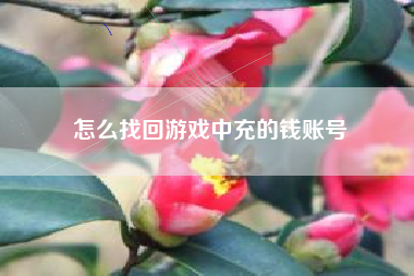 怎么找回游戏中充的钱账号