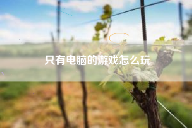 只有电脑的游戏怎么玩