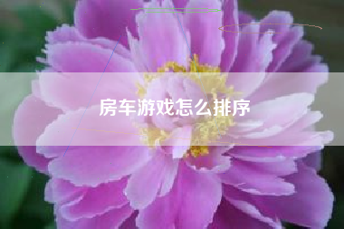 房车游戏怎么排序