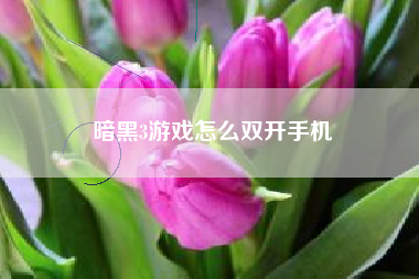 暗黑3游戏怎么双开手机