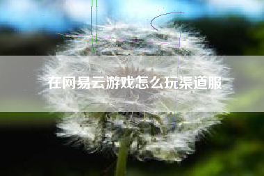 在网易云游戏怎么玩渠道服