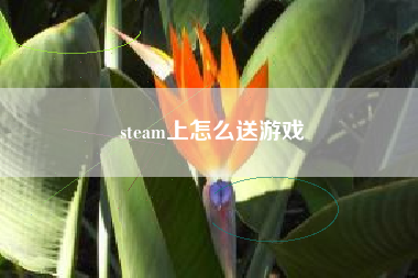 steam上怎么送游戏