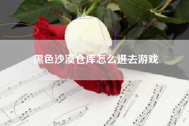 黑色沙漠仓库怎么进去游戏