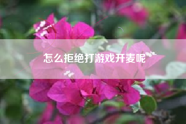 怎么拒绝打游戏开麦呢