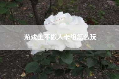 游戏王不做人卡组怎么玩