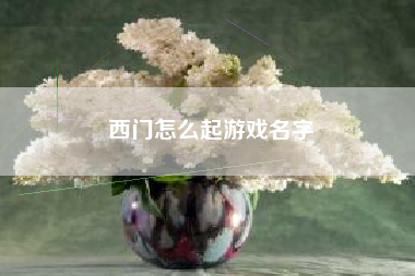西门怎么起游戏名字