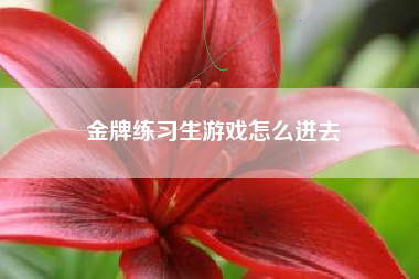 金牌练习生游戏怎么进去