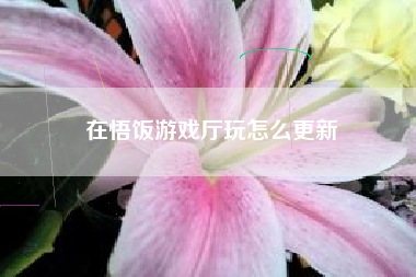 在悟饭游戏厅玩怎么更新