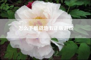 怎么下载战地五正版游戏