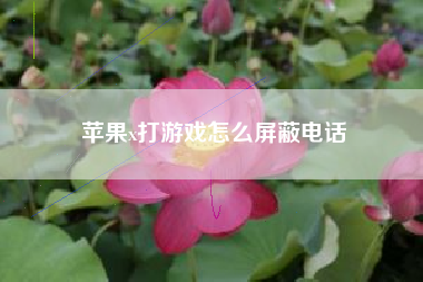 苹果x打游戏怎么屏蔽电话