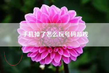 手机掉了怎么玩号码游戏