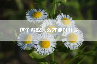 这个游戏怎么才能打开呢