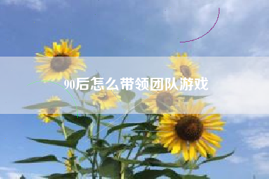 90后怎么带领团队游戏