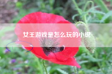 女王游戏是怎么玩的小说