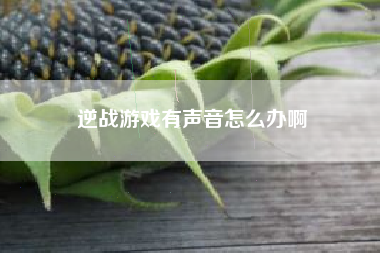 逆战游戏有声音怎么办啊