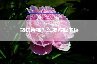 微信直播怎么发游戏主播