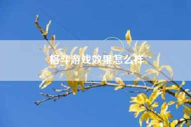 格斗游戏效果怎么样