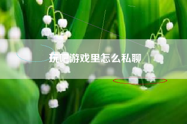 玩吧游戏里怎么私聊