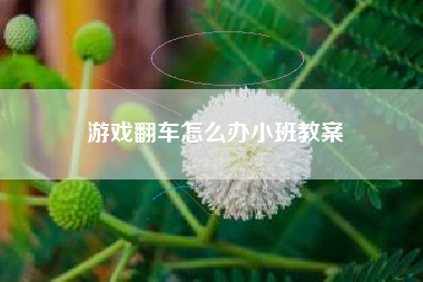 游戏翻车怎么办小班教案