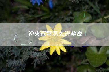 逆火苍穹怎么进游戏