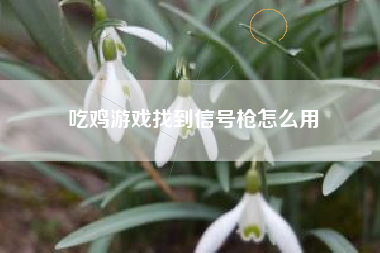 吃鸡游戏找到信号枪怎么用