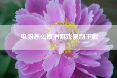 电脑怎么取消游戏限制下载