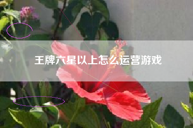 王牌六星以上怎么运营游戏