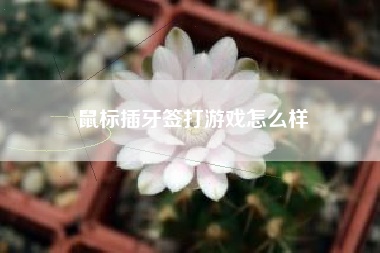 鼠标插牙签打游戏怎么样