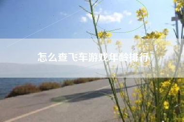怎么查飞车游戏年龄排行