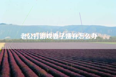 老公打游戏妻子嫌弃怎么办