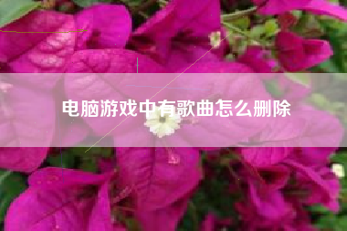 电脑游戏中有歌曲怎么删除