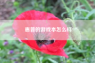 惠普的游戏本怎么样