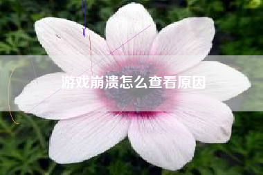 游戏崩溃怎么查看原因