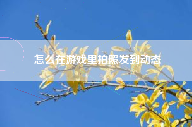 怎么在游戏里拍照发到动态