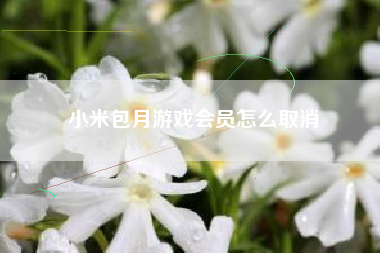 小米包月游戏会员怎么取消